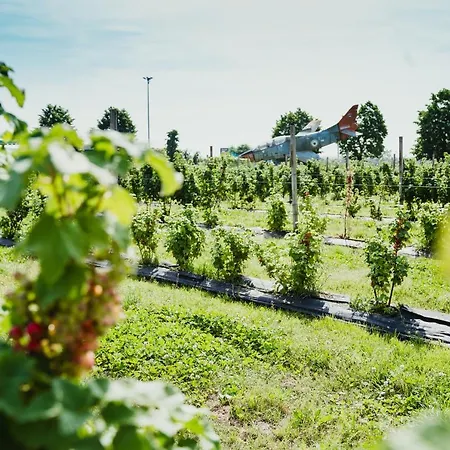 ファームステイ Nido Del Gelso *